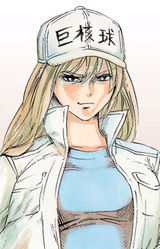 Мегакариоцит