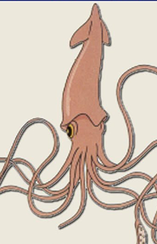 Призрак кальмара