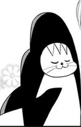 Хищный тюлень