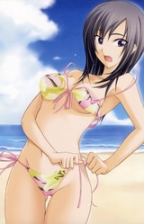 Сино Хигэцу