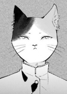 Мао Микэдзима