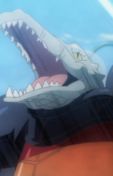 Белый Аллигатор