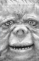 Директор свиного зоопарка