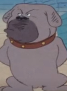 Дон Мацугоро