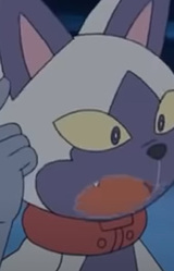 Депон Алекс