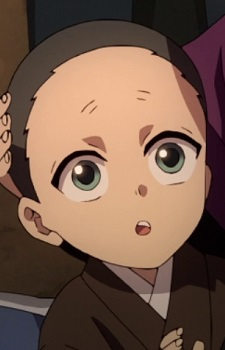 Кото Синадзугава