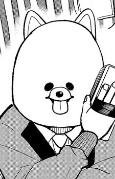 Профессор Померанский шпиц