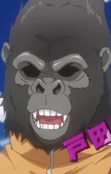 Крушитель ТоДаБаСи Z3