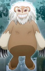 Медведь Коко