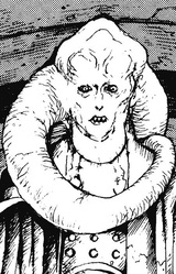 Биб Фортуна