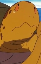 Окто-черепаха