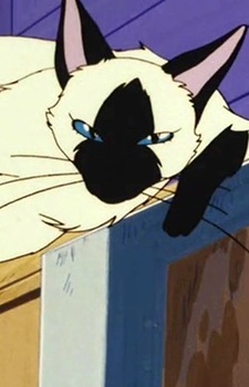 Сиамская кошка