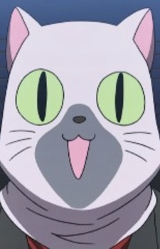 Сиамский кот