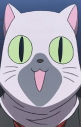 Сиамский кот