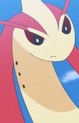 Милокаросс