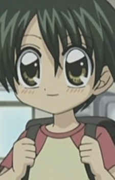 Кота Кадзама