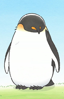 Взрослый пингвин