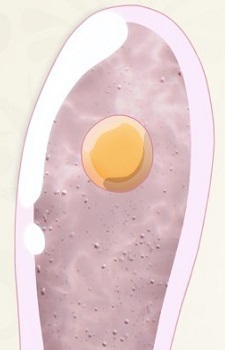 Возлюбленная пришельца-тентакля