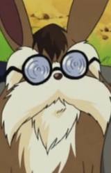 Старший брат Каракоруму