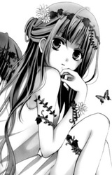 Мисузу Цукишима