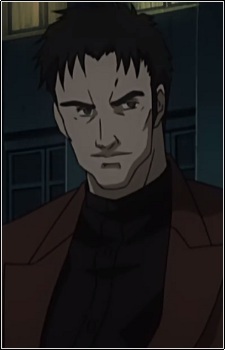 Кэннон Вулкан