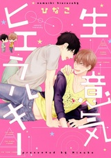 Иерархия дерзости