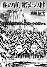 Весенний вечер в таинственном лесу