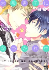 Это судьба!