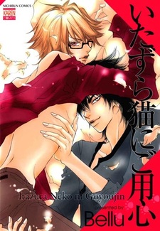 Берегитесь озорного котёнка