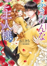 Fukigen na Goshujinsama