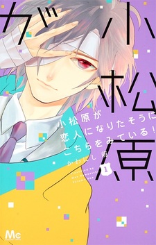 Комацубара смотрит на меня и, похоже, хочет стать моим парнем