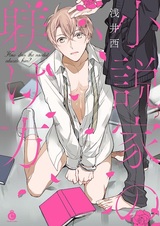 Что делать, если ты влюбился в новеллиста?