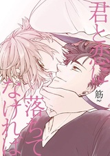 Kimi to Koi ni Ochitenakereba