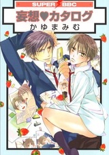 Ряд заблуждений