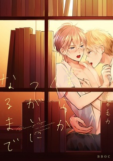 Пока мы не станем парой