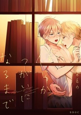 Пока мы не станем парой