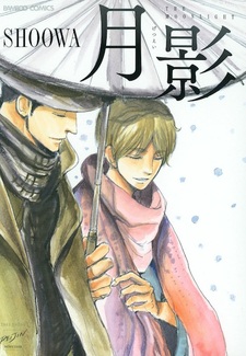 Лунный свет