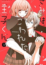 Kimi wa Kowareta Ouji-kun