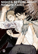 В преддверии ночи