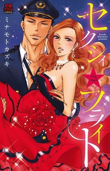 Сексуальный полёт