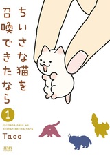 Если бы я мог призвать маленького кота