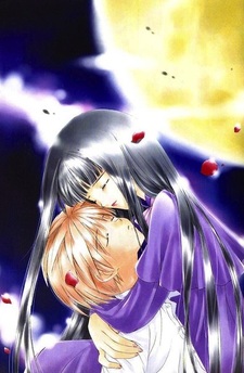 Летающие рыцари