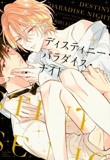 Судьбоносная райская ночь