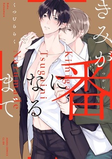 Kimi ga Tsugai ni Naru made