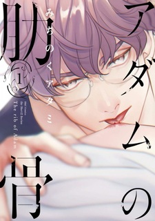 Рёбра Адама