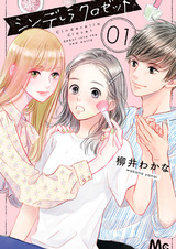 Шкаф Золушки