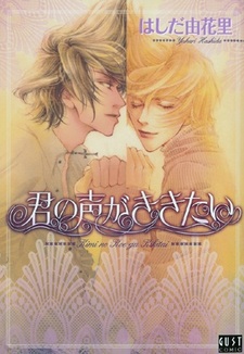 Kimi no Koe ga Kikitai