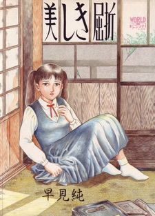 Красивое преломление