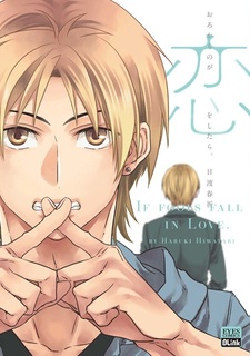 Если дураки влюбляются