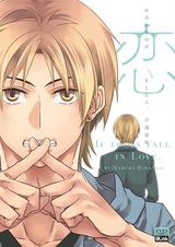 Если дураки влюбляются